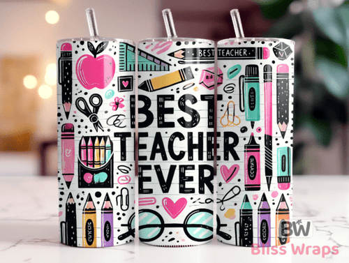 Best Teacher Ever Skinny Tumbler